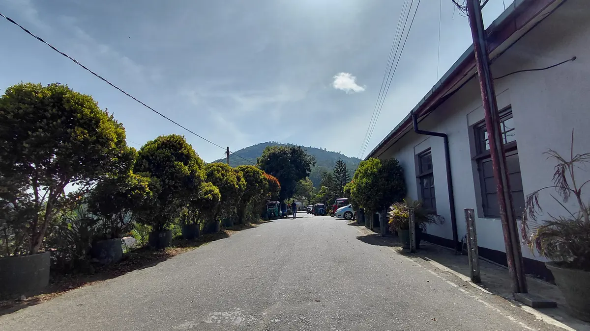 Quiet street lined with buildings and trees beneath hills.